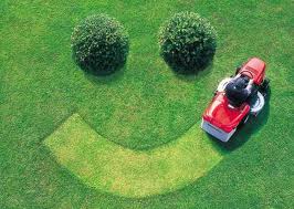 Here are a Few Best Practices to Implement When Marketing Your Lawn Care or Landscaping Business: