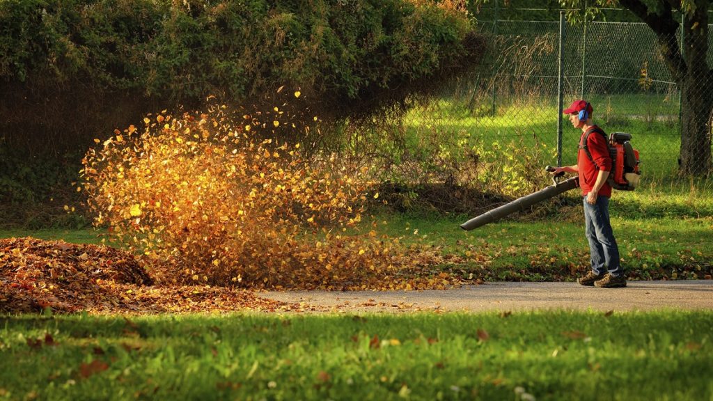 What To Know Before Buying Leaf Blowers Suburban Lawn Equipment